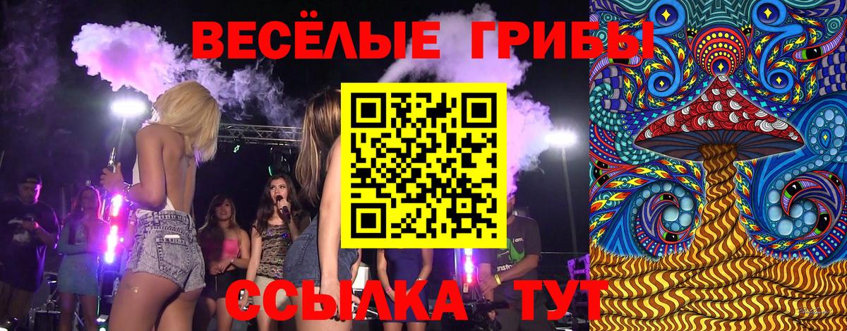 Галлюциногенные грибы Cubensis Долгопрудный