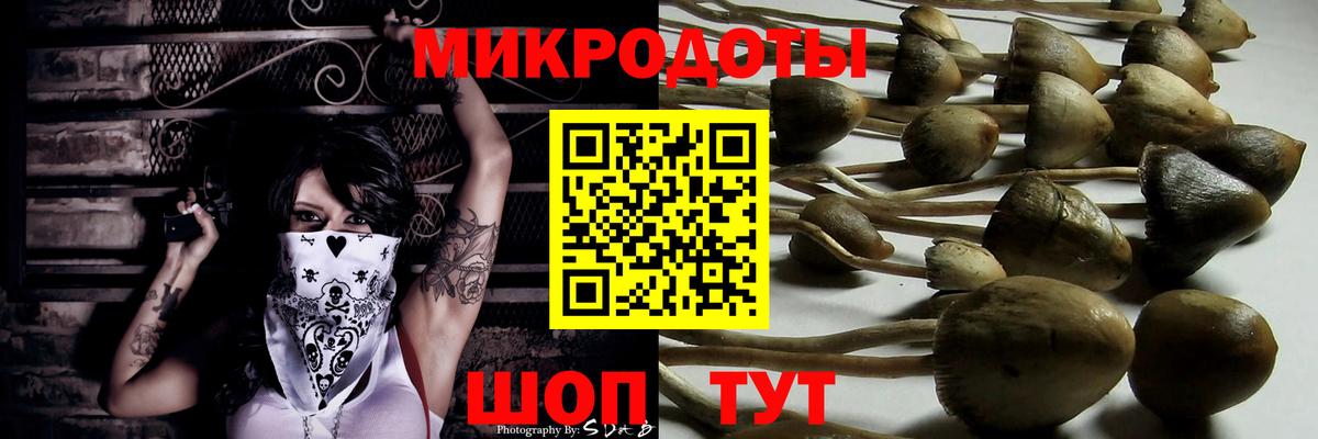 Галлюциногенные грибы ЛСД  Вход с VPN  Долгопрудный 
