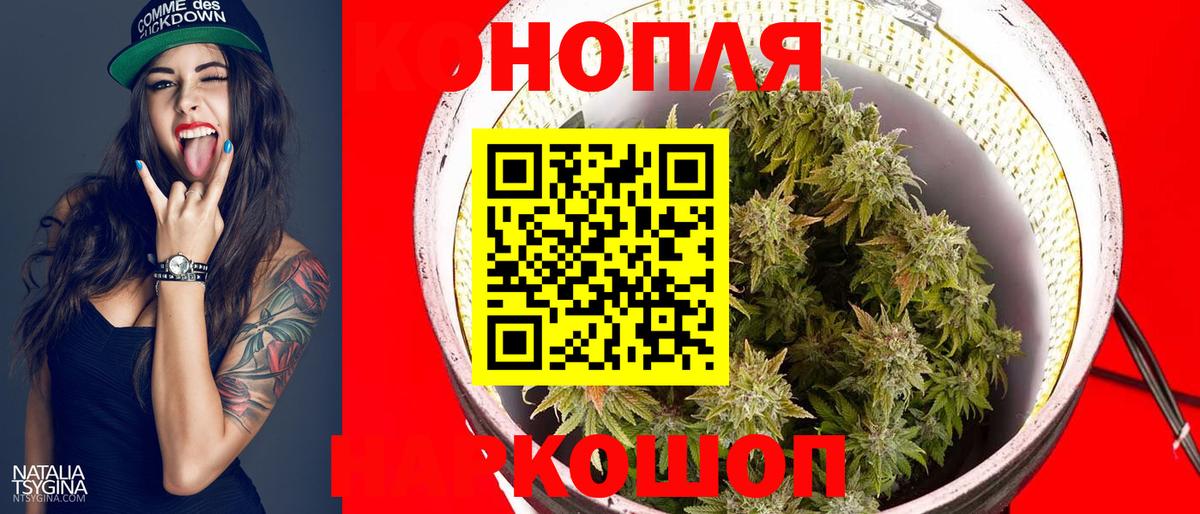 Бошки Шишки AK-47  Бошки марихуана OG Kush  МАРИХУАНА Amnesia  Вход с VPN  Бошки Шишки марихуана  Долгопрудный 